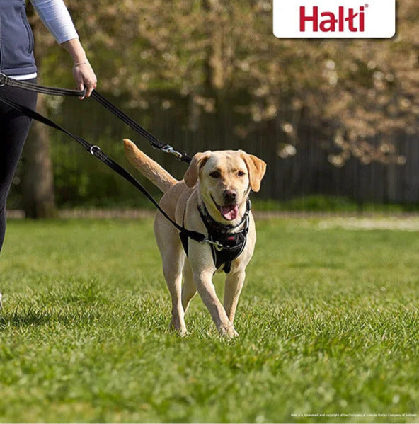 Laisse éducative multiposition de 2 m pour chiens