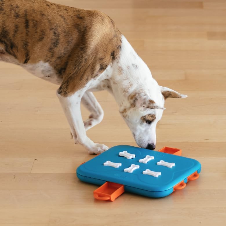 Juego de ingenio Dog Casino nivel 3 para perros