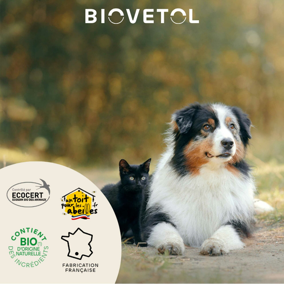 Lotion dentaire bio pour chiens et chats