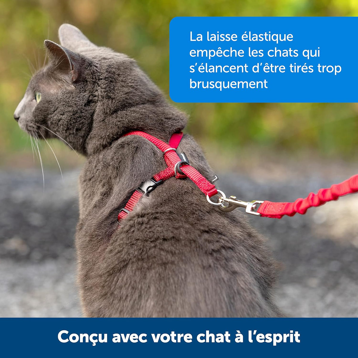 Imbracatura e guinzaglio Easy Walk® per gatti
