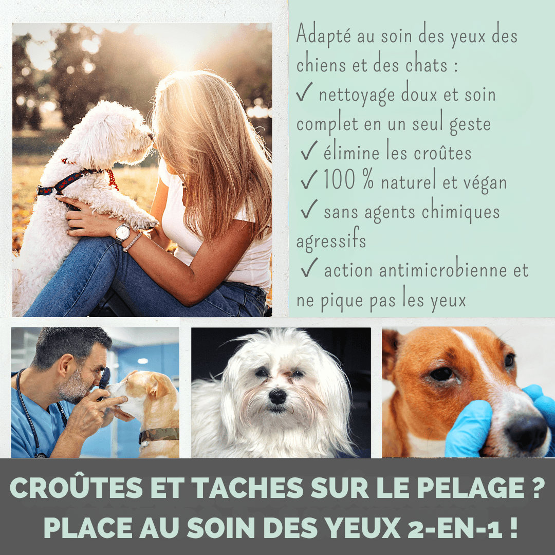 Spray nettoyant contour des yeux 2 en 1 pour chiens et chats
