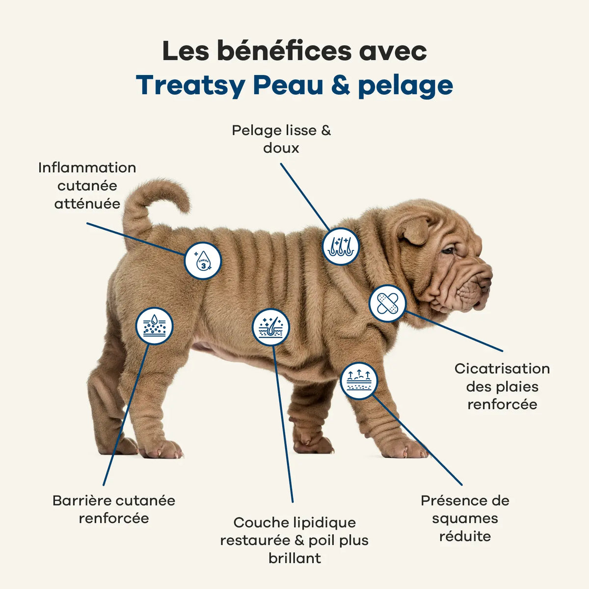 Complément alimentaire peau et pelage au poulet pour chiens