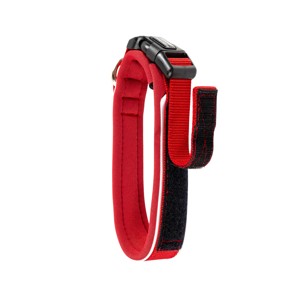Neo Classic neoprene dog collar