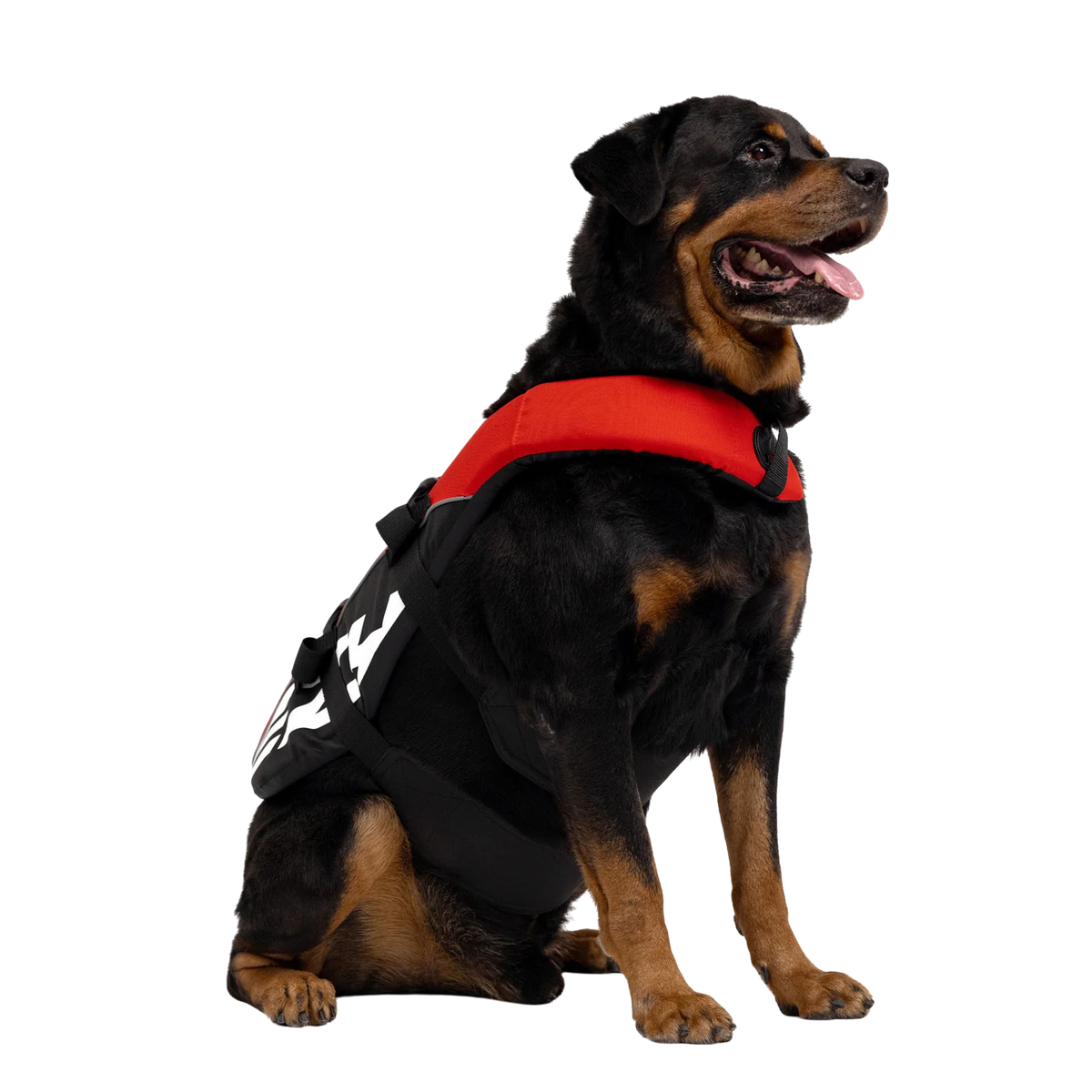 Chaleco salvavidas para perros