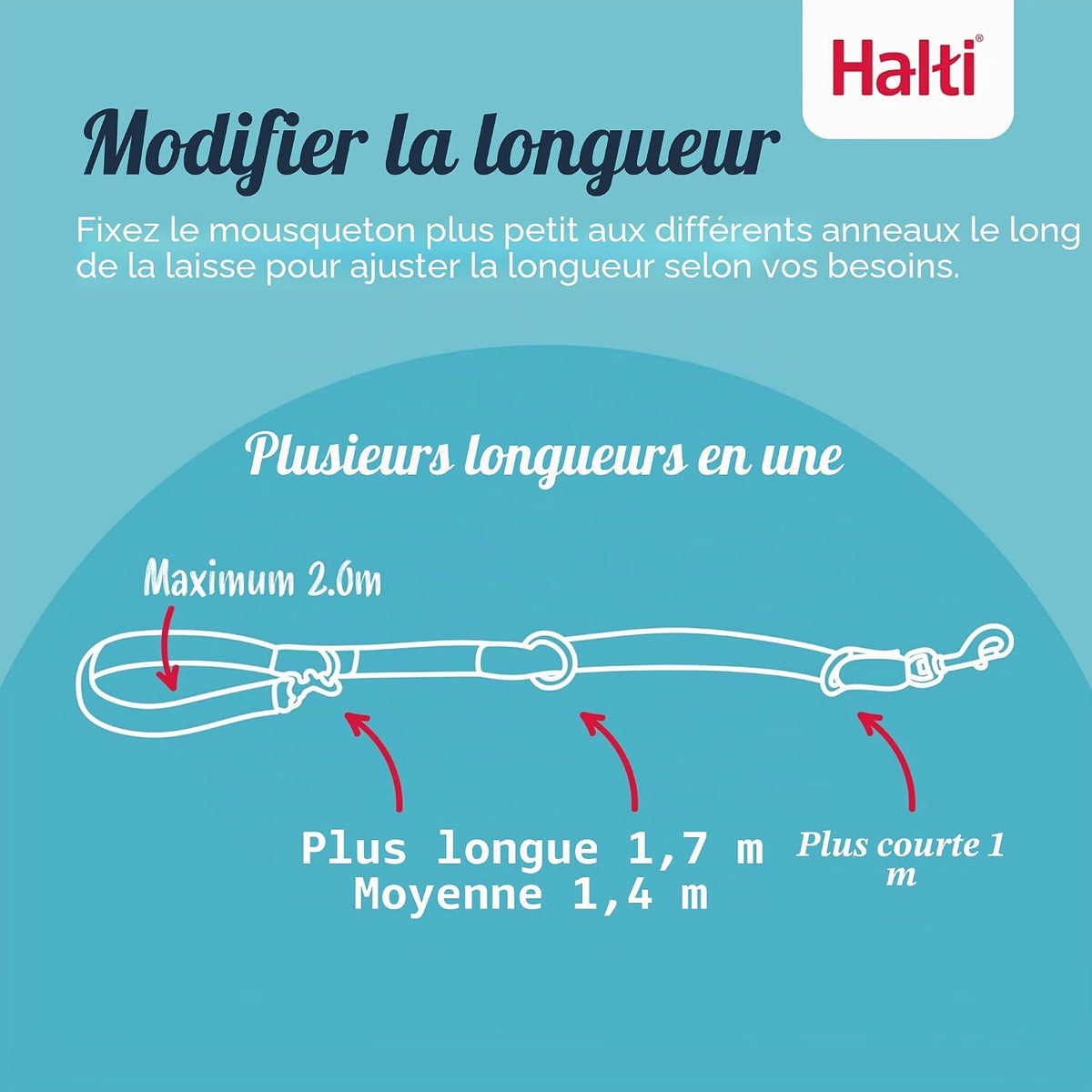 Laisse éducative multiposition de 2 m pour chiens