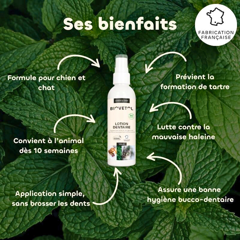 Lotion dentaire bio pour chiens et chats