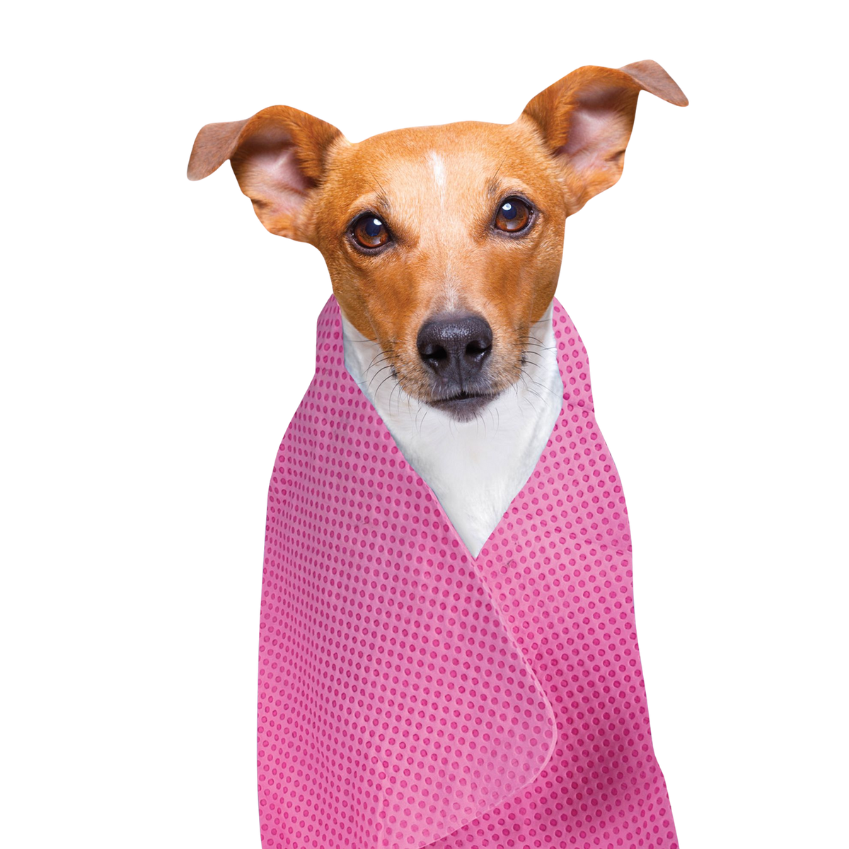 Kühlhandtuch für Hunde und Katzen