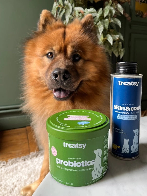 Integratore alimentare probiotico al pollo per cani