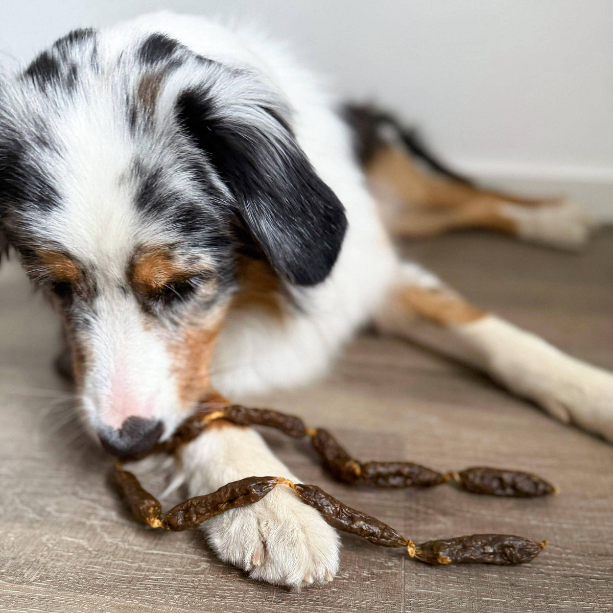 Salchichas de carne de res deshidratadas para perros