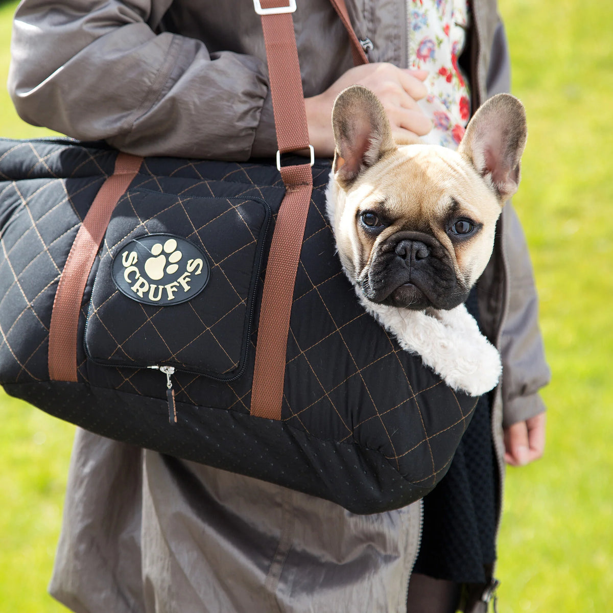 Padded carrier bag for small dogs
