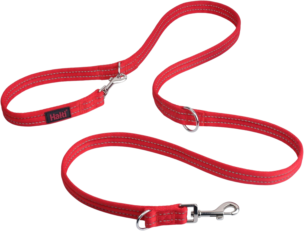 Laisse éducative multiposition de 2 m pour chiens