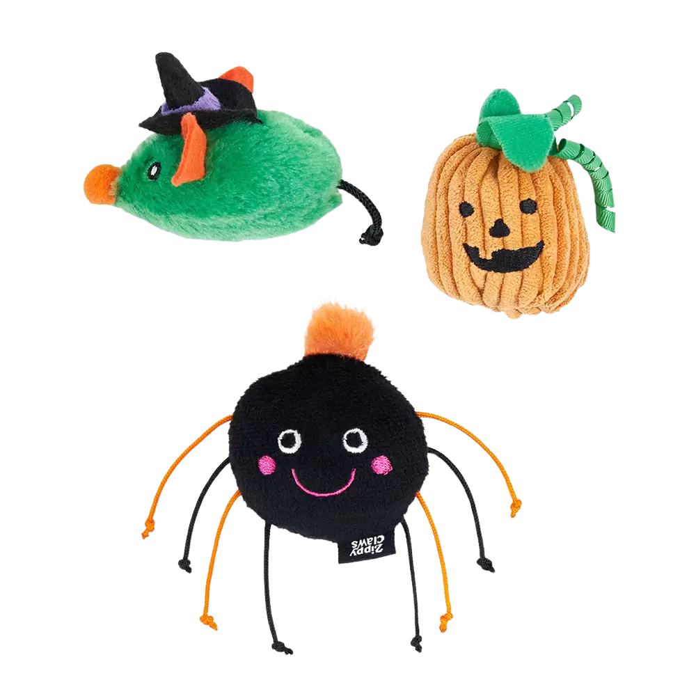 Lot de 6 jouets d’Halloween Créatures Hantées pour chats