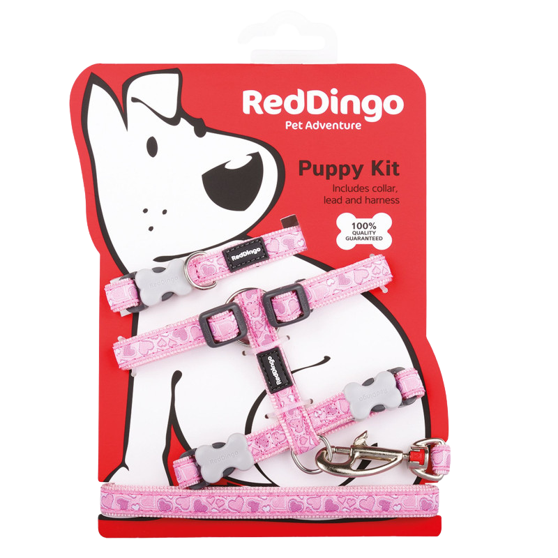 Kit de collar, arnés y correa Breezy Love para cachorros