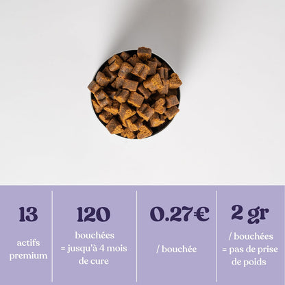 Complemento alimenticio antiestrés para perros
