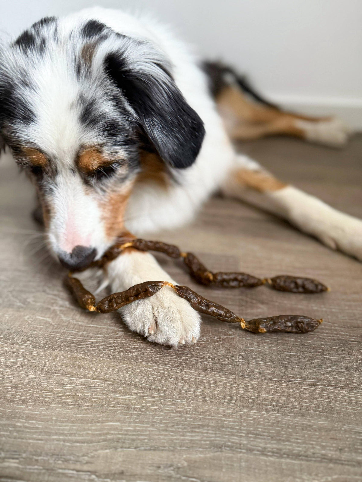 Getrocknete Putenwürste für Hunde