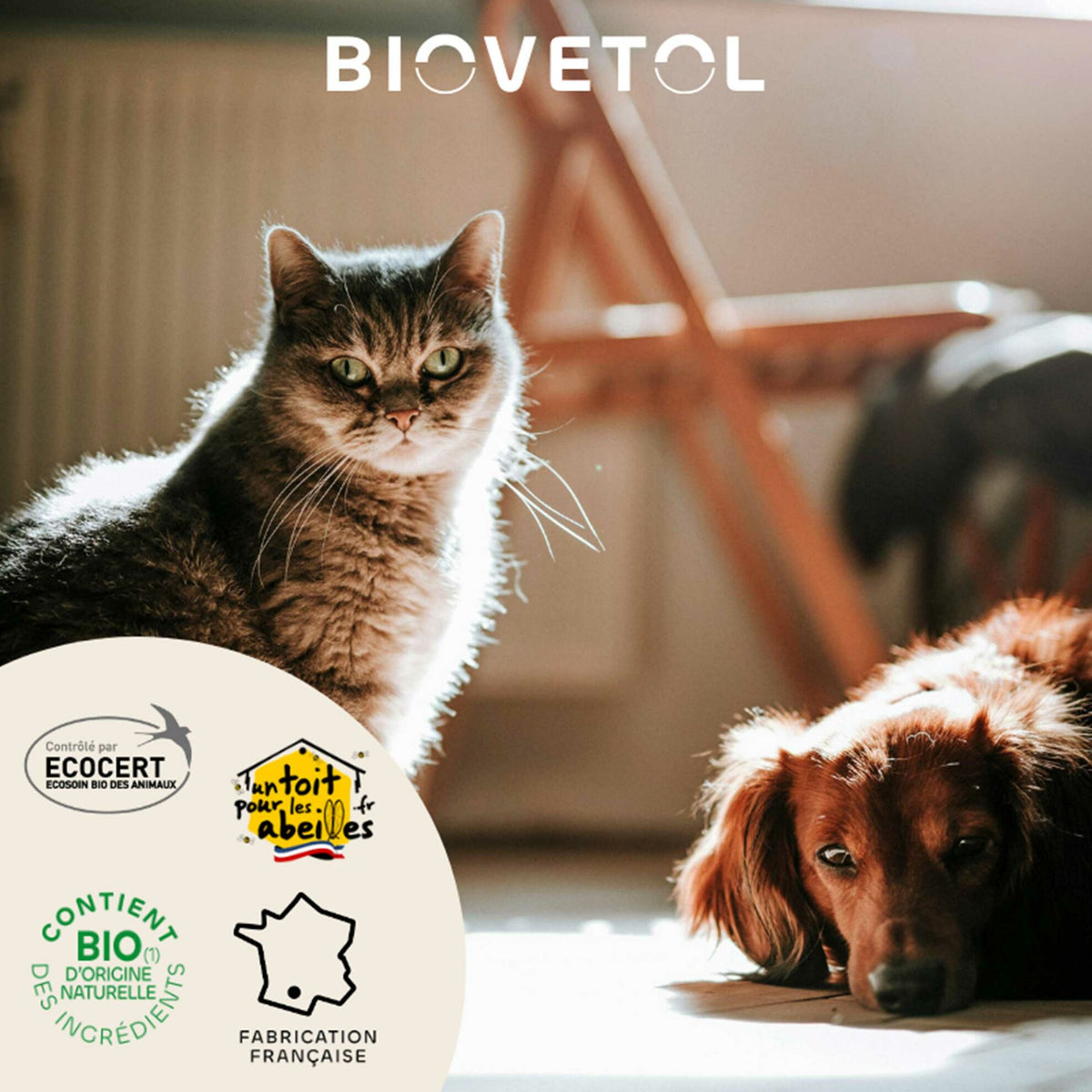 Lotion oculaire bio pour chiens et chats