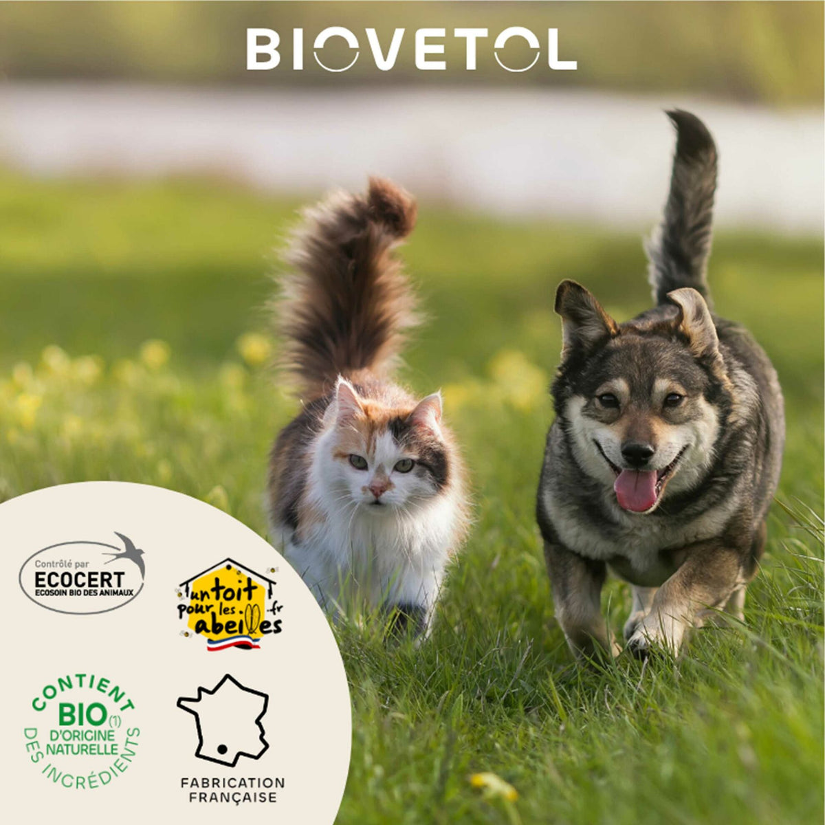 Lotion nettoyante bio pour les oreilles des chiens et chats