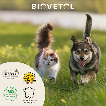 Lotion nettoyante bio pour les oreilles des chiens et chats