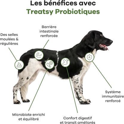 Integratore alimentare probiotico al pollo per cani