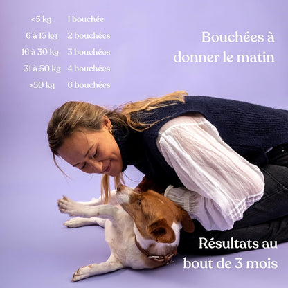 Complemento alimenticio antiestrés para perros