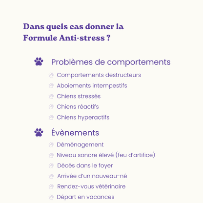 Complemento alimenticio antiestrés para perros