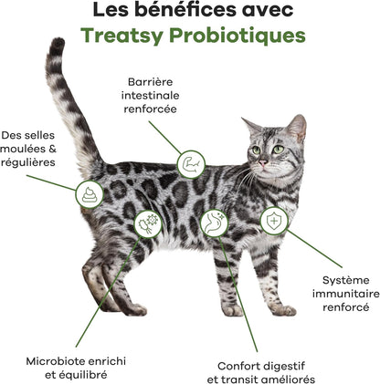 Probiotisches Nahrungsergänzungsmittel mit Fisch und Huhn für Katzen