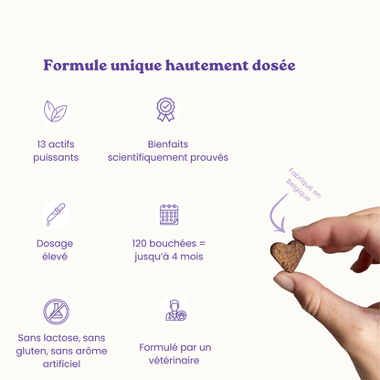 Complemento alimenticio antiestrés para perros