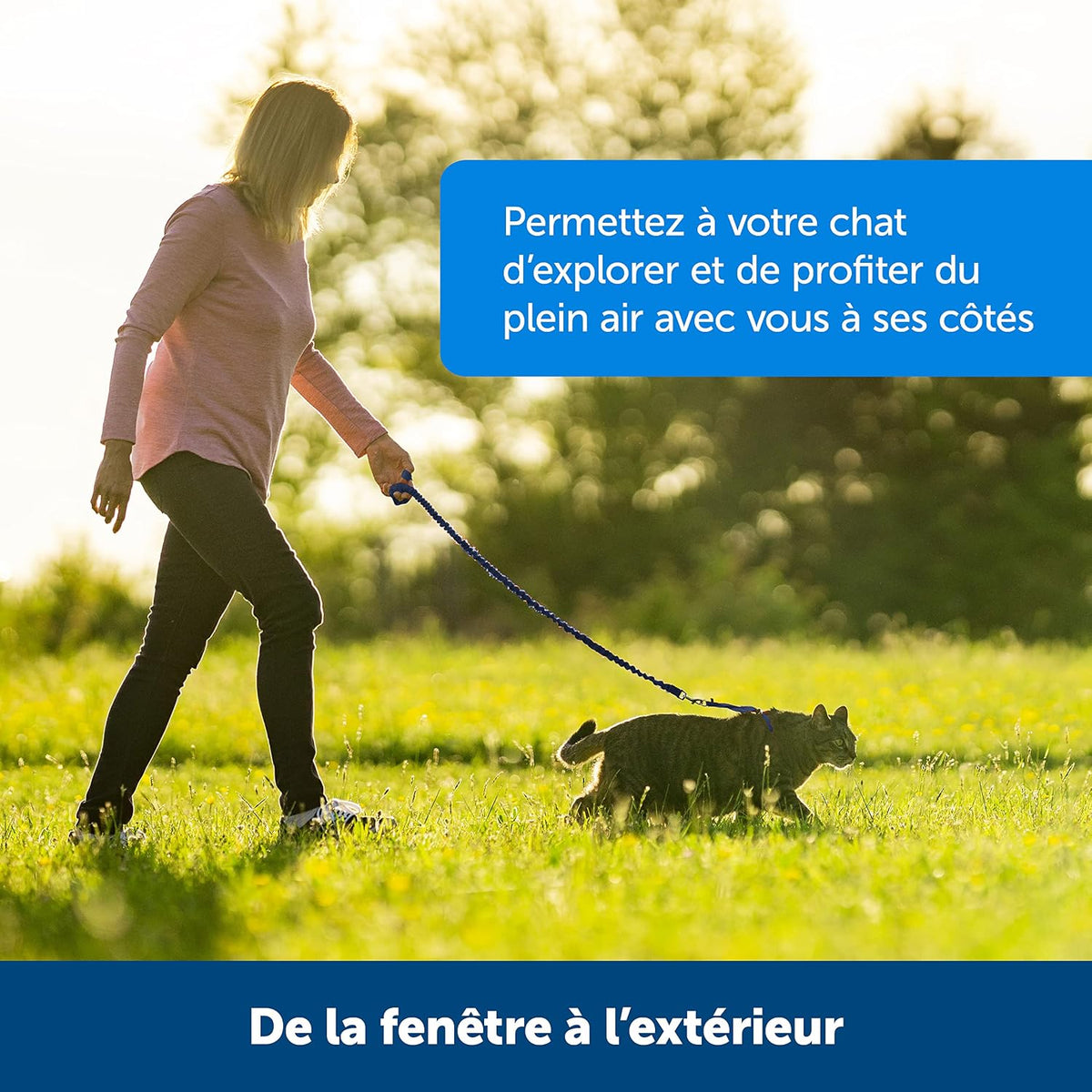 Imbracatura e guinzaglio Easy Walk® per gatti