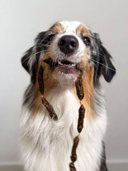 Getrocknete Putenwürste für Hunde