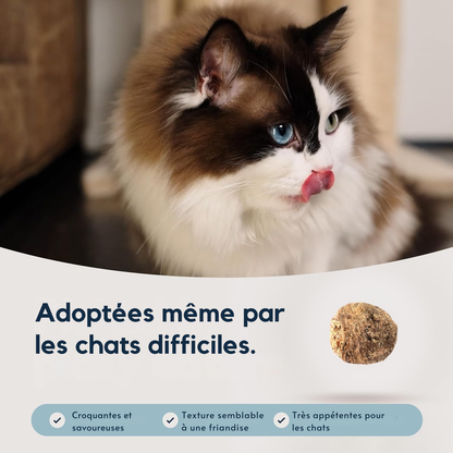 Croquetas de ternera y bacaladilla del sur para gatos