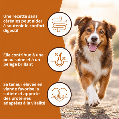 Croquettes poulet et patate douce pour chiens adultes