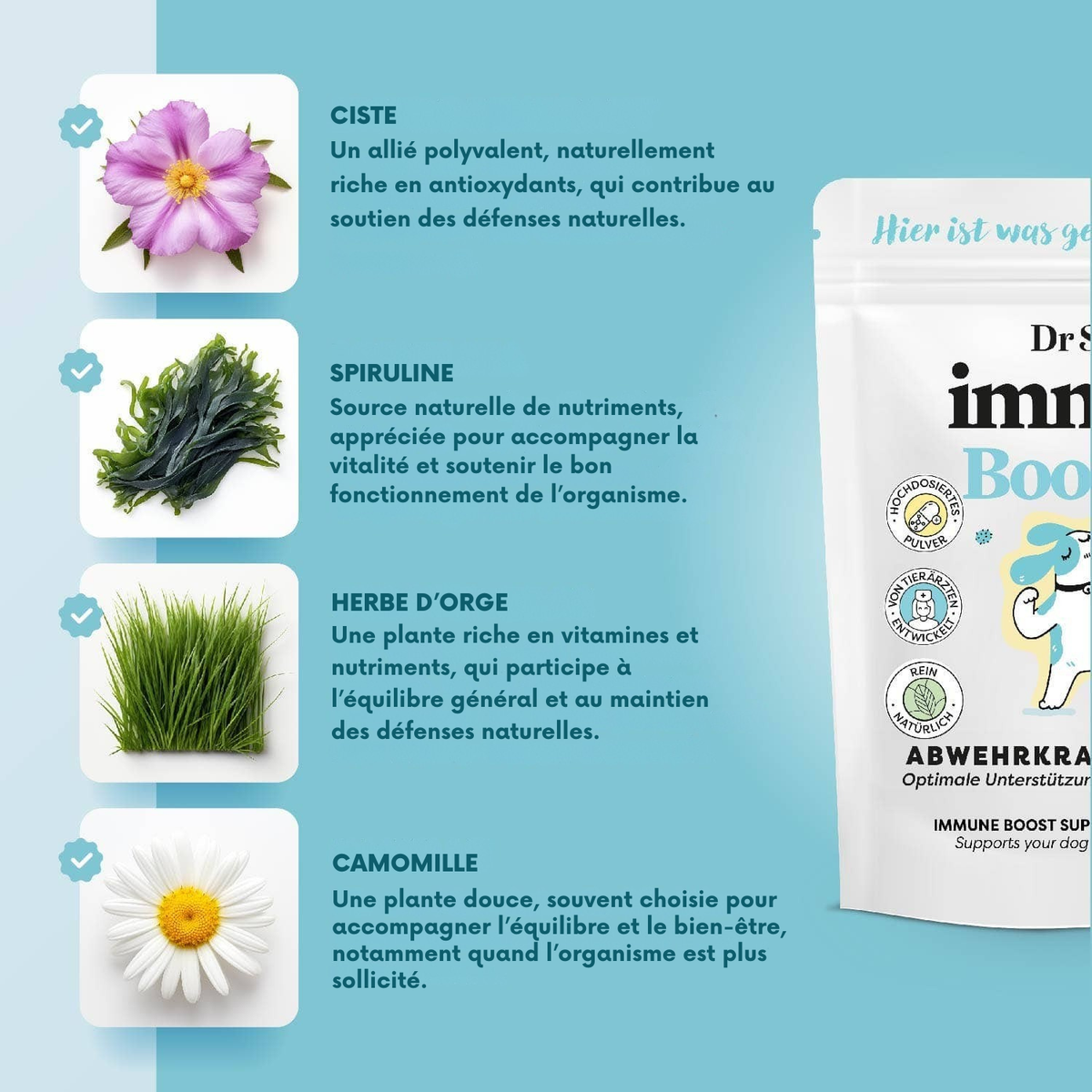 Polvo de apoyo inmunológico a base de plantas