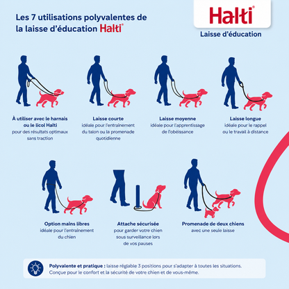 Laisse éducative multiposition de 2 m pour chiens