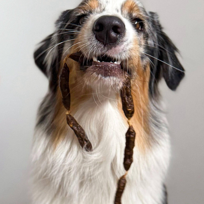 Salchichas de carne de res deshidratadas para perros