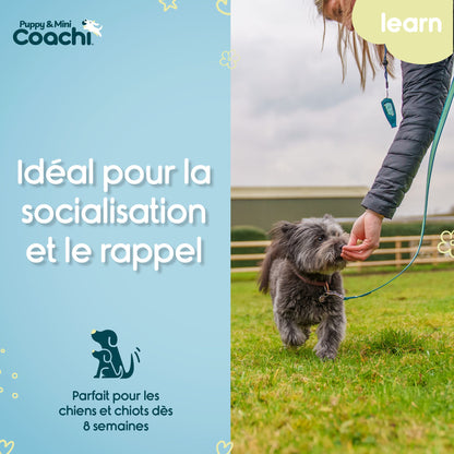 Waterproof leash for puppies and small dogs