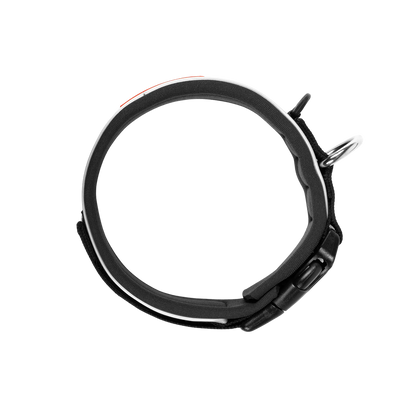 Neo Classic neoprene dog collar
