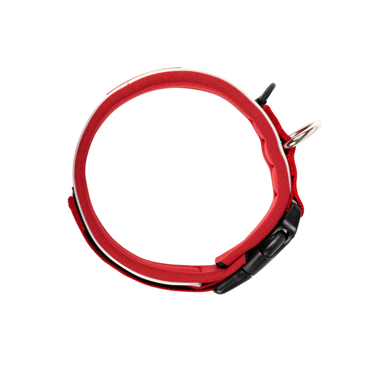 Neo Classic neoprene dog collar