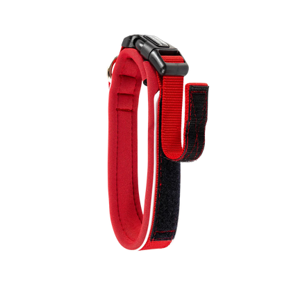 Neo Classic neoprene dog collar