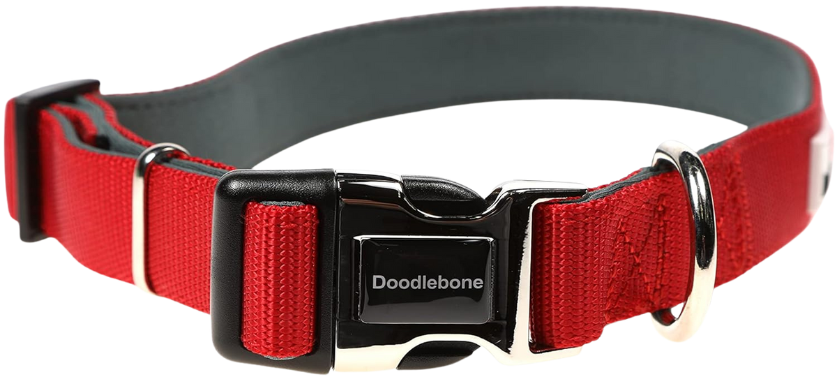 Collier réglable rembourré pour chiens
