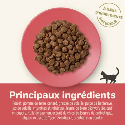 Pienso de pollo y pato para gatos adultos
