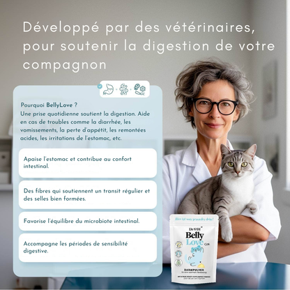Polvo intestinal a base de plantas para gatos