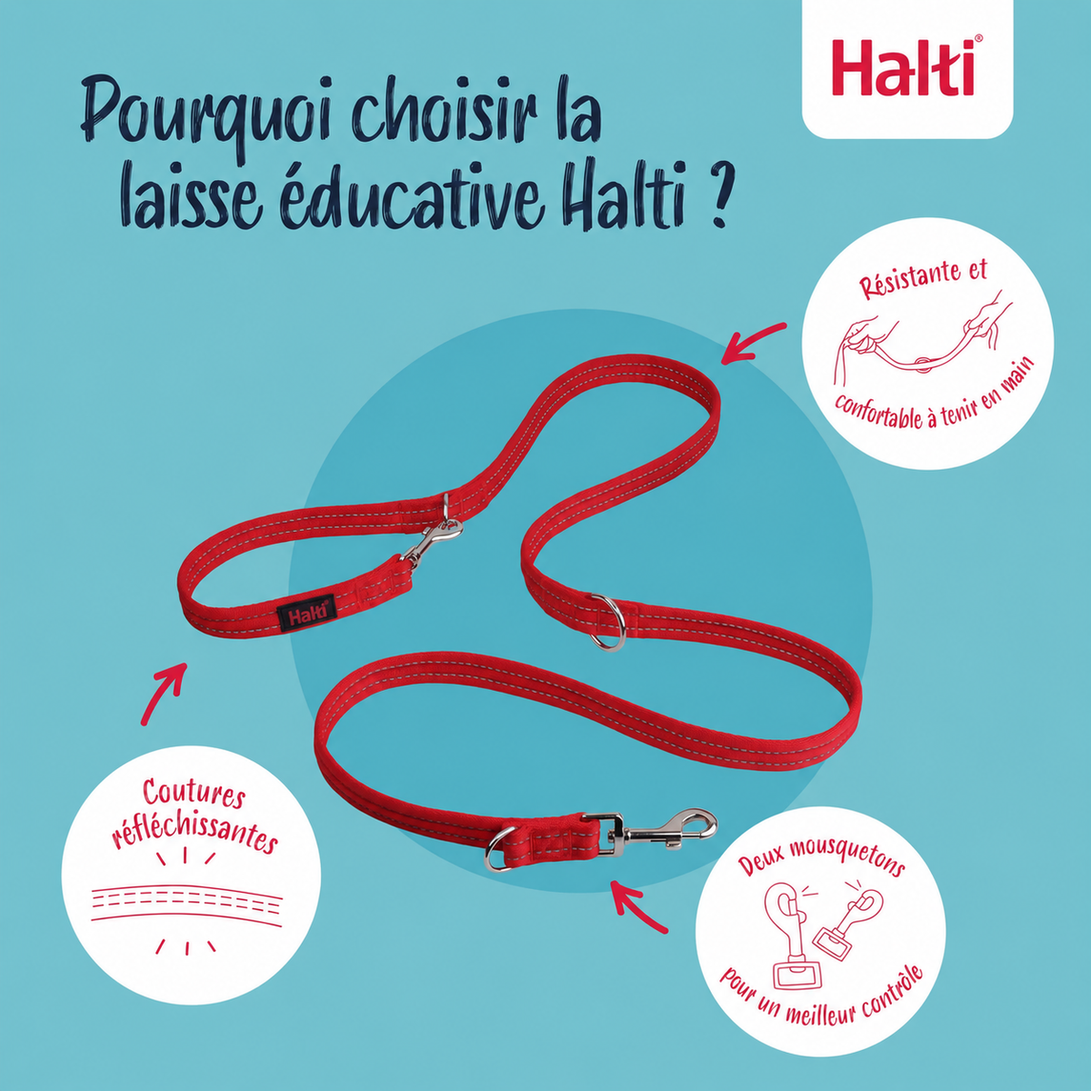 Laisse éducative multiposition de 2 m pour chiens