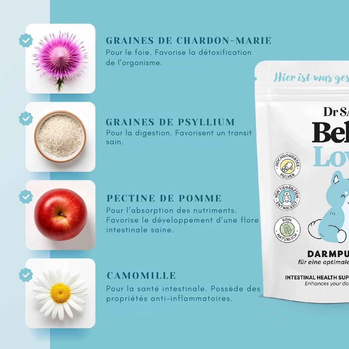 Polvo intestinal a base de plantas para perros