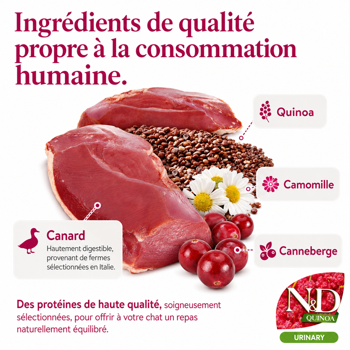 Crocchette anatra e quinoa salute urinaria per gatti adulti