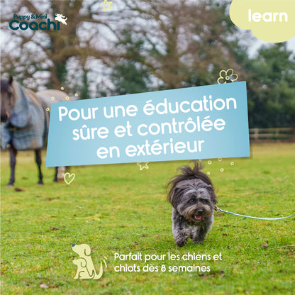 Waterproof leash for puppies and small dogs