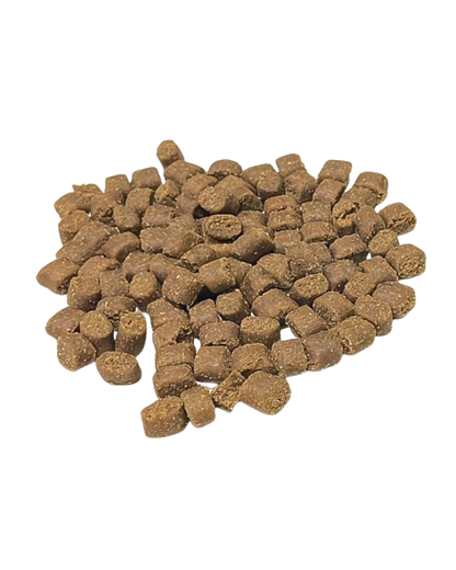 Croquetas semihúmedas Festin de l’Océan de pescado y pavo para perros