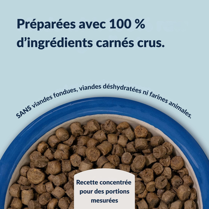 Croquetas de ternera y bacaladilla del sur para gatos