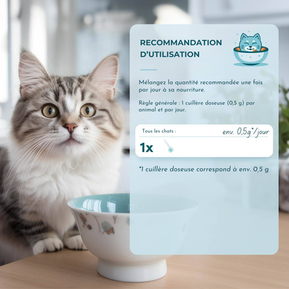 Polvo intestinal a base de plantas para gatos