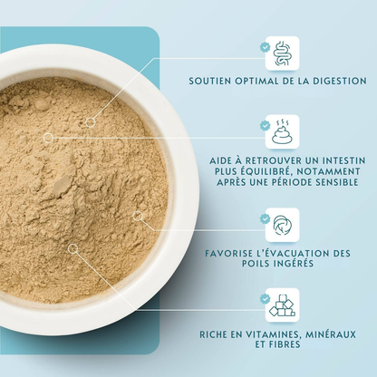 Polvo intestinal a base de plantas para gatos