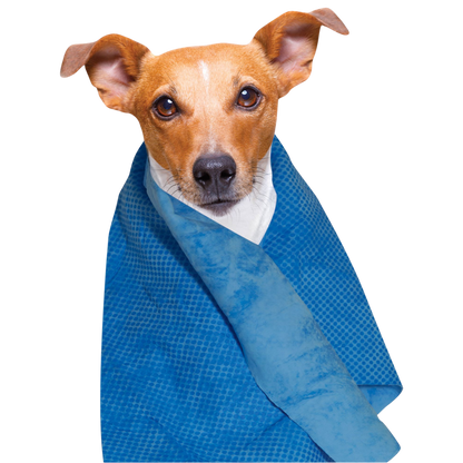 Toalla refrescante para perros y gatos